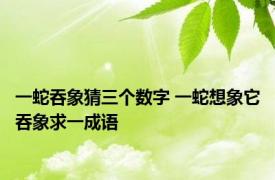 一蛇吞象猜三个数字 一蛇想象它吞象求一成语