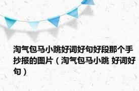 淘气包马小跳好词好句好段那个手抄报的图片（淘气包马小跳 好词好句）