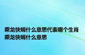 乘龙快婿什么意思代表哪个生肖 乘龙快婿什么意思