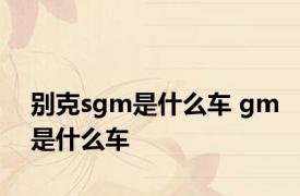 别克sgm是什么车 gm是什么车