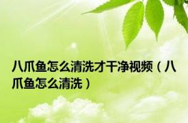 八爪鱼怎么清洗才干净视频（八爪鱼怎么清洗）