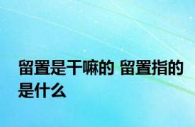 留置是干嘛的 留置指的是什么