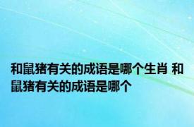 和鼠猪有关的成语是哪个生肖 和鼠猪有关的成语是哪个