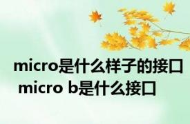 micro是什么样子的接口 micro b是什么接口