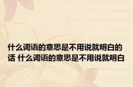 什么词语的意思是不用说就明白的话 什么词语的意思是不用说就明白