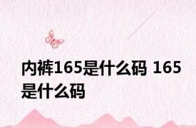 内裤165是什么码 165是什么码