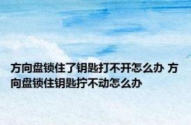 方向盘锁住了钥匙打不开怎么办 方向盘锁住钥匙拧不动怎么办