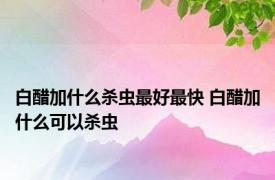 白醋加什么杀虫最好最快 白醋加什么可以杀虫