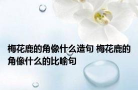 梅花鹿的角像什么造句 梅花鹿的角像什么的比喻句