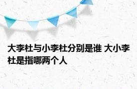 大李杜与小李杜分别是谁 大小李杜是指哪两个人