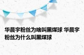 华晨宇粉丝为啥叫黑煤球 华晨宇粉丝为什么叫黑煤球