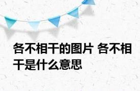 各不相干的图片 各不相干是什么意思