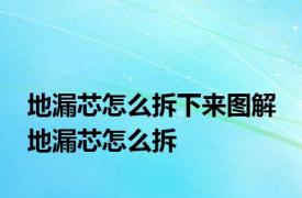 地漏芯怎么拆下来图解 地漏芯怎么拆