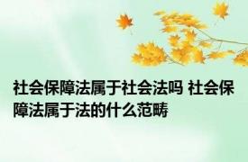 社会保障法属于社会法吗 社会保障法属于法的什么范畴