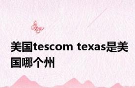 美国tescom texas是美国哪个州