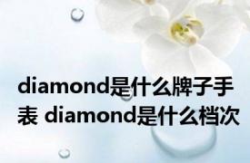 diamond是什么牌子手表 diamond是什么档次