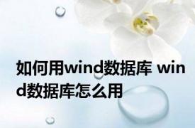 如何用wind数据库 wind数据库怎么用