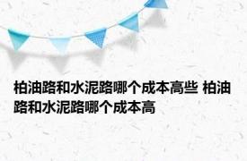 柏油路和水泥路哪个成本高些 柏油路和水泥路哪个成本高