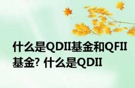 什么是QDII基金和QFII基金? 什么是QDII