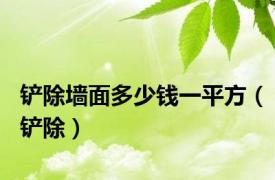 铲除墙面多少钱一平方（铲除）