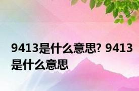 9413是什么意思? 9413是什么意思