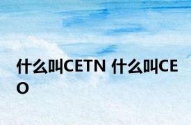 什么叫CETN 什么叫CEO