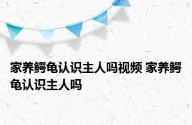 家养鳄龟认识主人吗视频 家养鳄龟认识主人吗