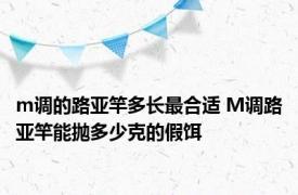 m调的路亚竿多长最合适 M调路亚竿能抛多少克的假饵