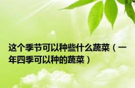 这个季节可以种些什么蔬菜（一年四季可以种的蔬菜）