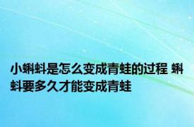 小蝌蚪是怎么变成青蛙的过程 蝌蚪要多久才能变成青蛙