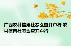 广西农村信用社怎么查开户行 农村信用社怎么查开户行