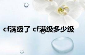 cf满级了 cf满级多少级