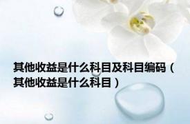 其他收益是什么科目及科目编码（其他收益是什么科目）