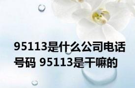 95113是什么公司电话号码 95113是干嘛的