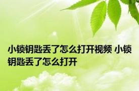 小锁钥匙丢了怎么打开视频 小锁钥匙丢了怎么打开