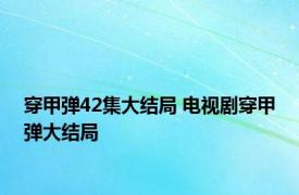 穿甲弹42集大结局 电视剧穿甲弹大结局