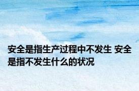 安全是指生产过程中不发生 安全是指不发生什么的状况