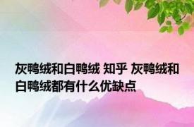 灰鸭绒和白鸭绒 知乎 灰鸭绒和白鸭绒都有什么优缺点