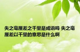 失之毫厘差之千里是成语吗 失之毫厘差以千里的意思是什么啊