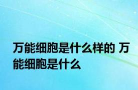 万能细胞是什么样的 万能细胞是什么