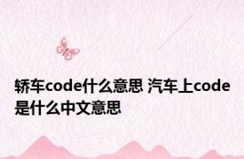 轿车code什么意思 汽车上code是什么中文意思