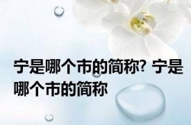 宁是哪个市的简称? 宁是哪个市的简称