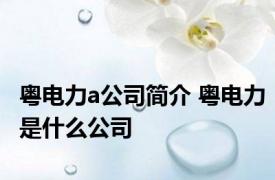 粤电力a公司简介 粤电力是什么公司