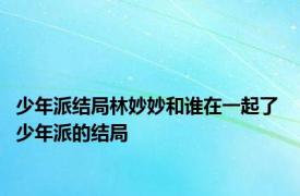 少年派结局林妙妙和谁在一起了 少年派的结局