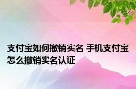 支付宝如何撤销实名 手机支付宝怎么撤销实名认证