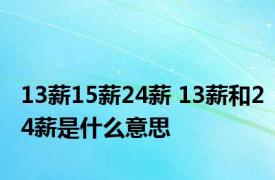 13薪15薪24薪 13薪和24薪是什么意思