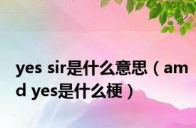 yes sir是什么意思（amd yes是什么梗）