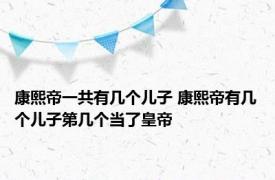 康熙帝一共有几个儿子 康熙帝有几个儿子第几个当了皇帝