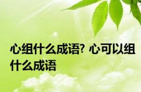 心组什么成语? 心可以组什么成语