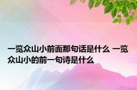 一览众山小前面那句话是什么 一览众山小的前一句诗是什么